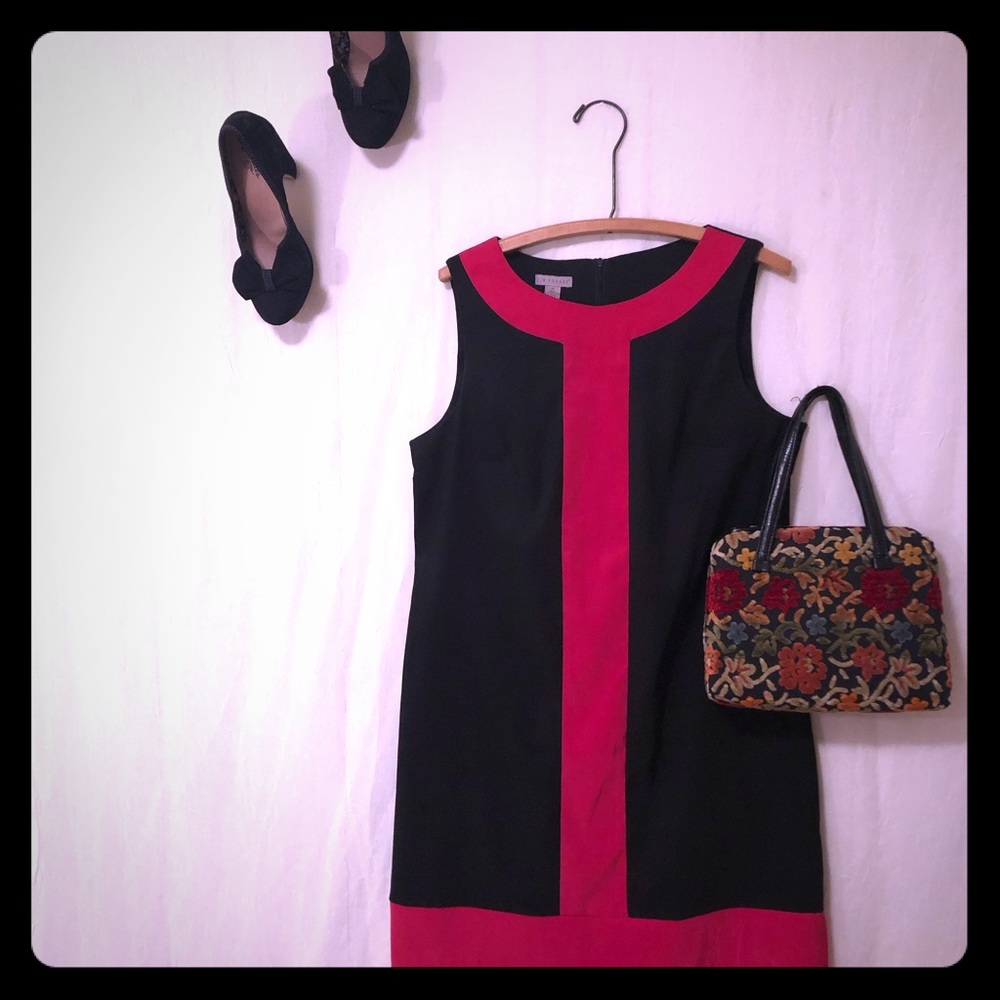 Perfect Black and Dark Pink Colorblock Dress